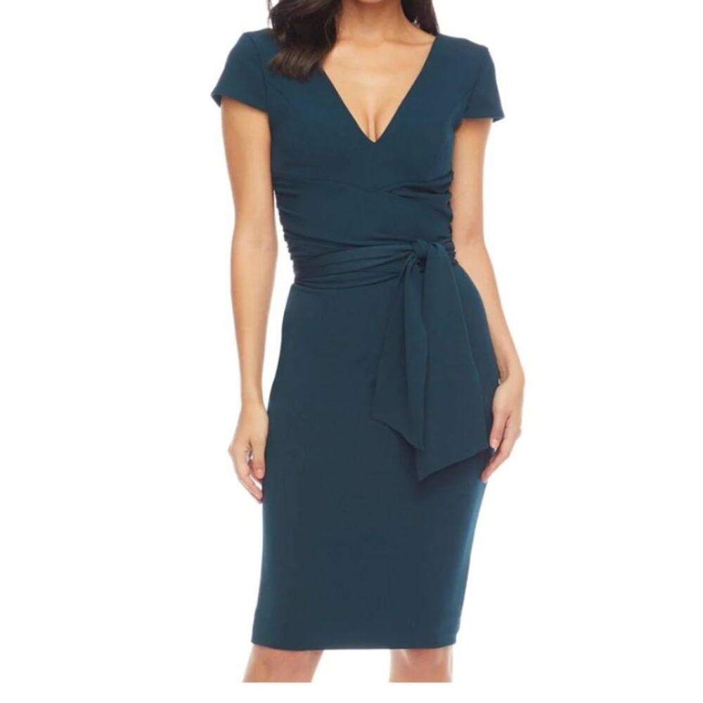 New ~ DRESS THE POPULATION ~  Dana Dress Size Large STUNNING!